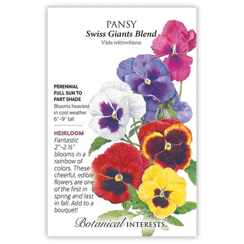 Pansy 'Swiss Giants Blend'