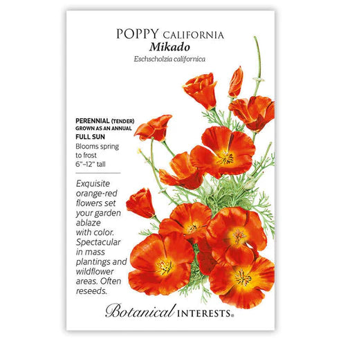 Poppy 'California Mikado'