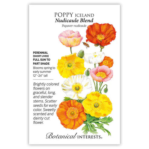 Poppy 'Iceland Nudicaule Blend'