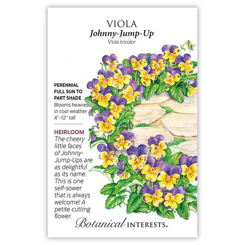 Viola 'Johnny Jump Up'