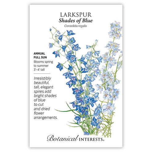 Larkspur 'Shades of Blue'