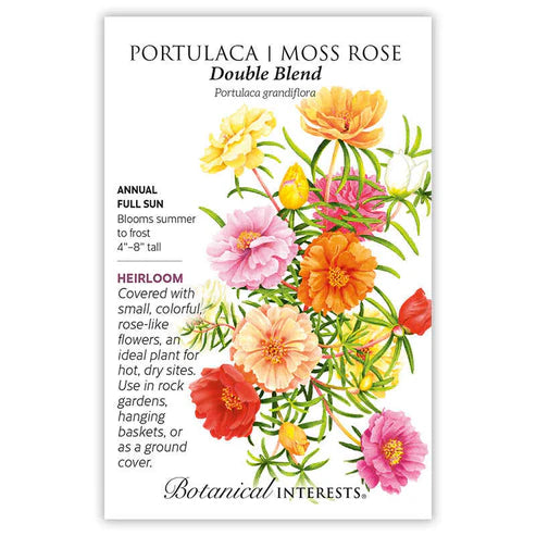 Portulaca 'Moss Rose Double Blend'