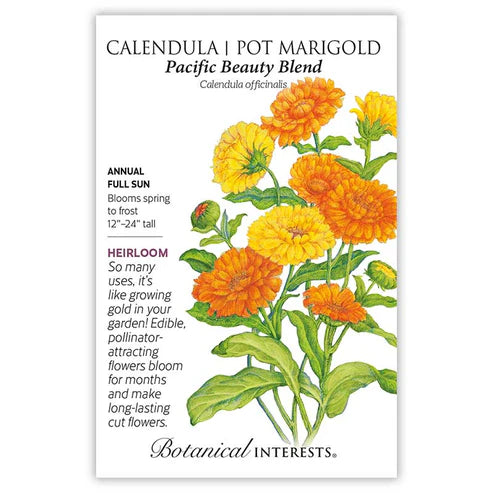 Calendula 'Pacific Beauty'
