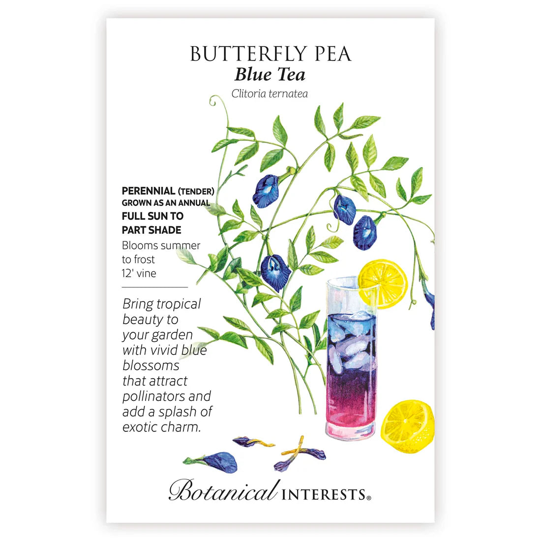 Butterfly 'Pea Blue Tea'