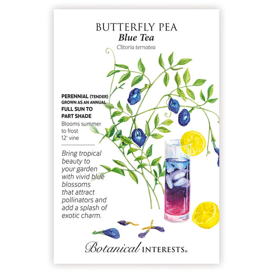 Butterfly 'Pea Blue Tea'