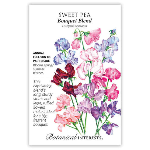 Sweet Pea 'Bouquet Blend'
