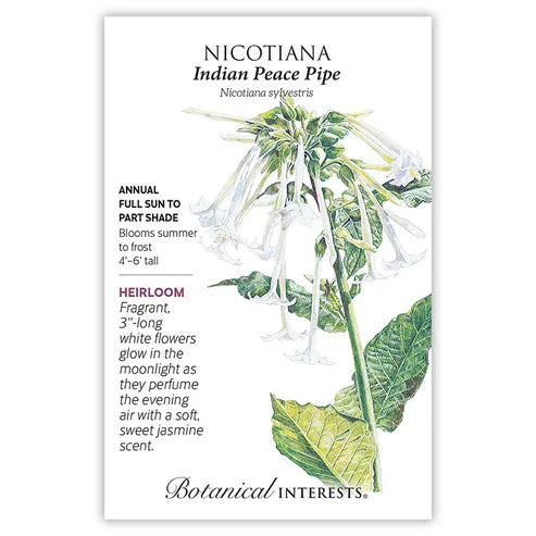 Nicotiana 'Indian Peace Pipe'