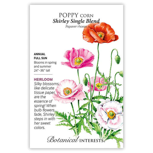 Poppy 'Shirley Single Blend'