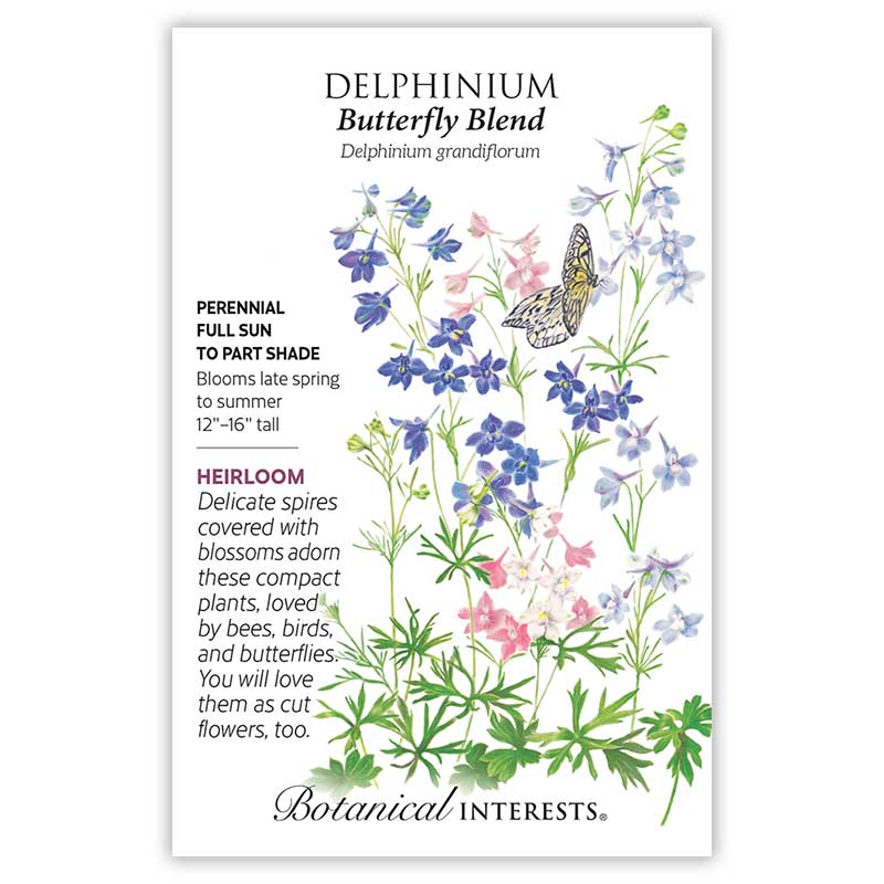 Delphinium 'Butterfly Blend'