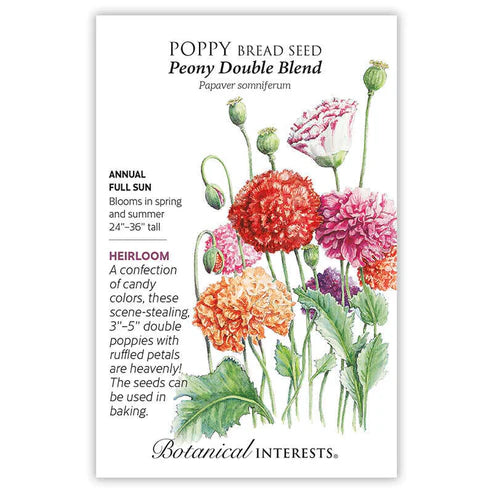 Poppy 'Peony Double Blend'