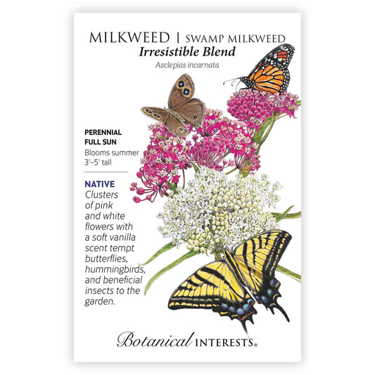 Milkweed 'Irresistible Blend'