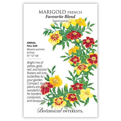 Marigold 'French Favourite'