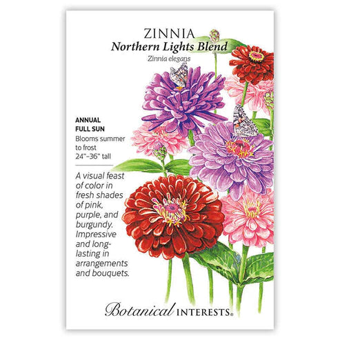 Zinnia 'Northern Lights Blend'