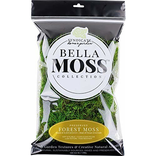Bella Moss Forest Moss