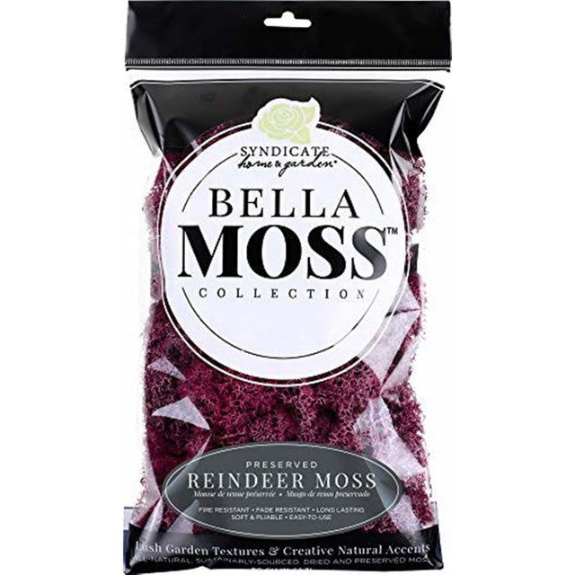Bella Moss Reindeer Moss