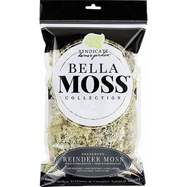 Bella Moss Reindeer Moss