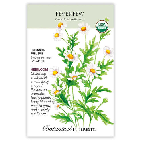 Feverfew