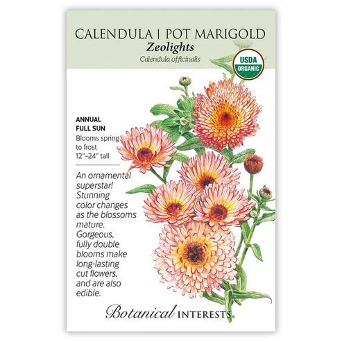 Calendula 'Zeolights' Organic