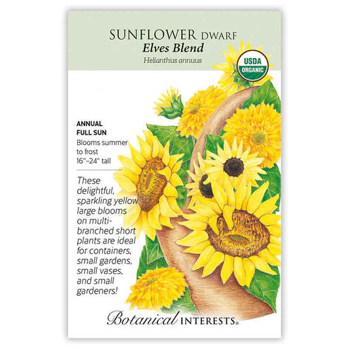 Sunflower 'Dwf Elves Blend' Organic