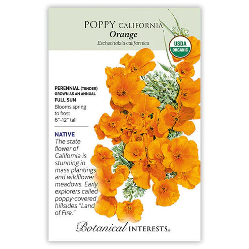 Poppy 'California Orange'