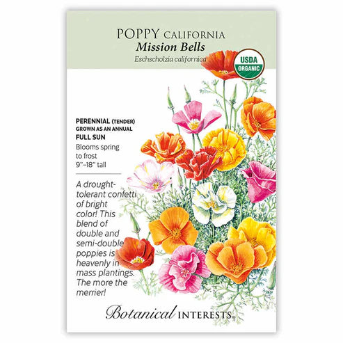 Poppy 'California Mission Bells'