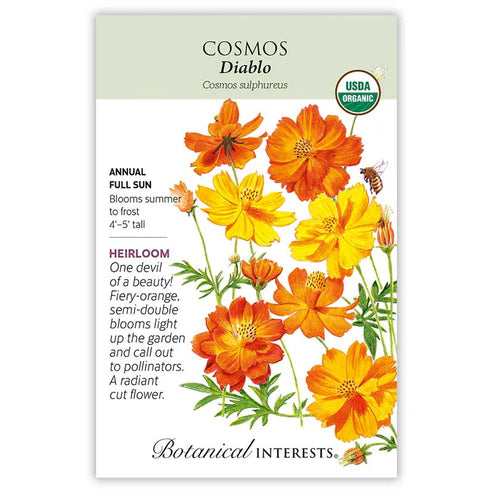 Cosmos 'Diablo' Organic