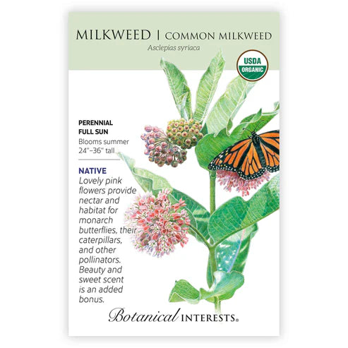 Common Milkweed