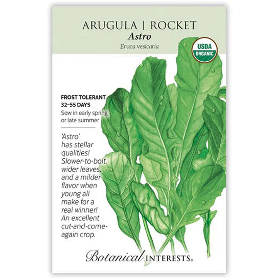 Arugula 'Rocket'