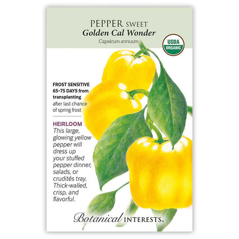 Pepper Sweet 'Golden California Wonder'