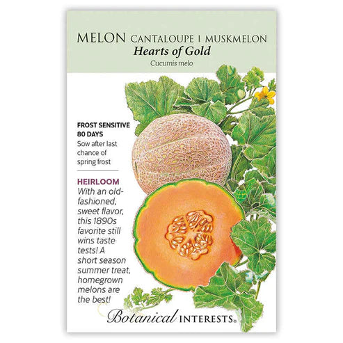 Melon 'Hearts of Gold'