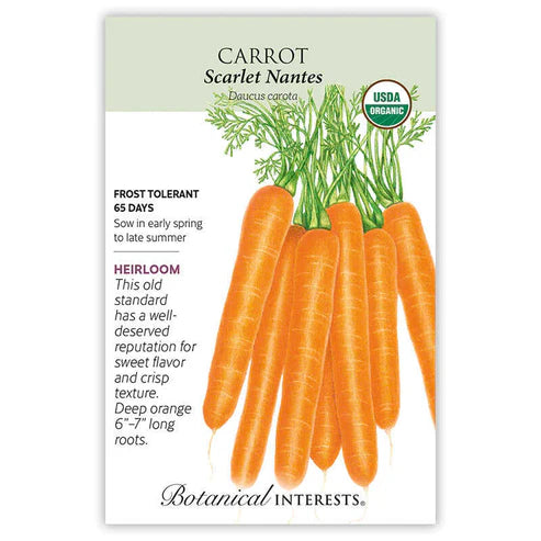 Carrot 'Scarlet Nantes'