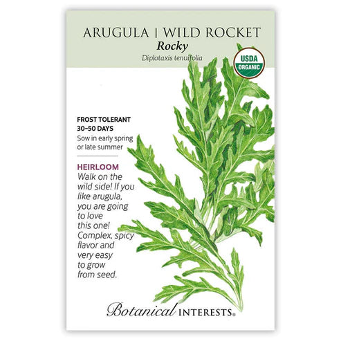 Arugula 'Wild Rocket Rocky'