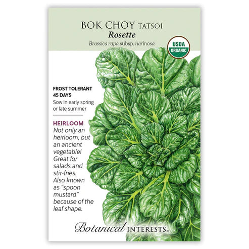Bok Choy 'Tatsoi Rosette'