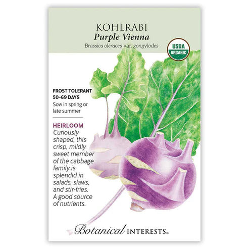 Kohlrabi 'Purple Vienna'