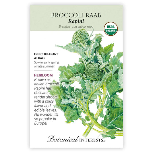 Broccoli Raab 'Rapini'