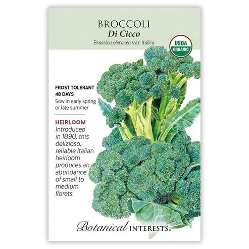 Broccoli 'Di Cicco'