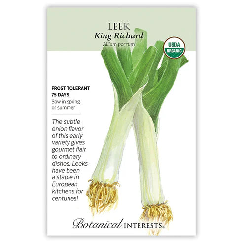 Leek 'King Richard'