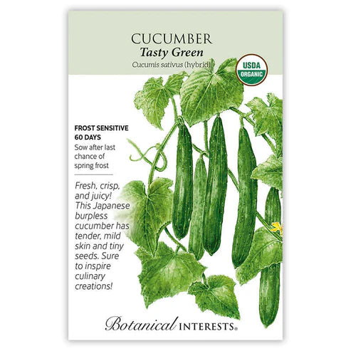 Cucumber 'Tasty Green'