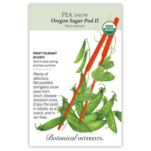 Pea Snow 'Oregon Sugar Pod'