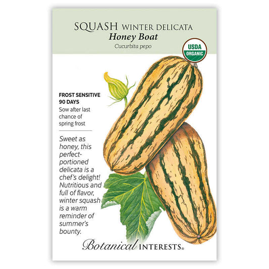 Squash 'Winter Delicata'