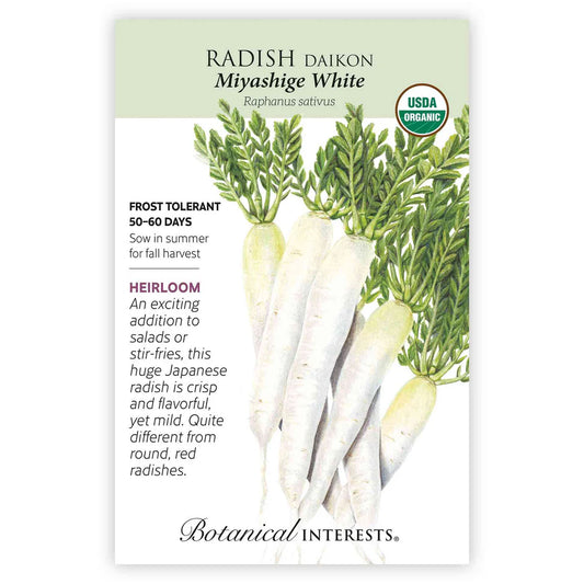 Radish 'Daikon'