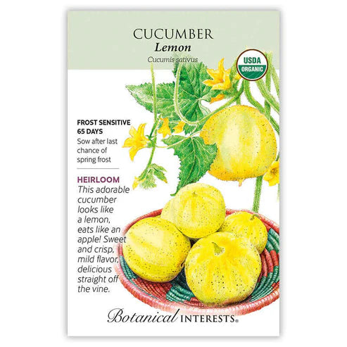 Cucumber 'Lemon'