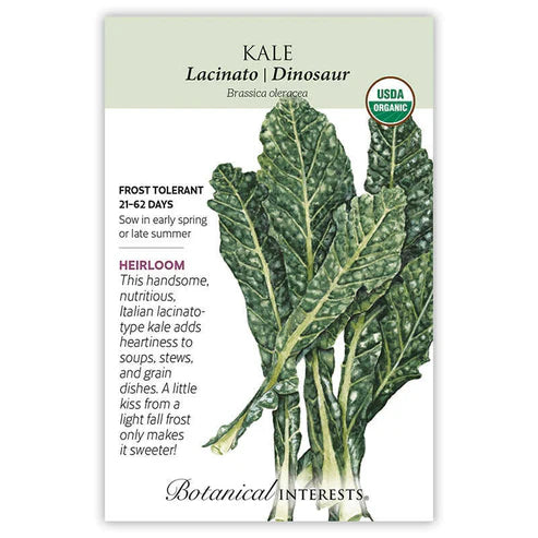 Kale 'Lacicato Dinosaur'
