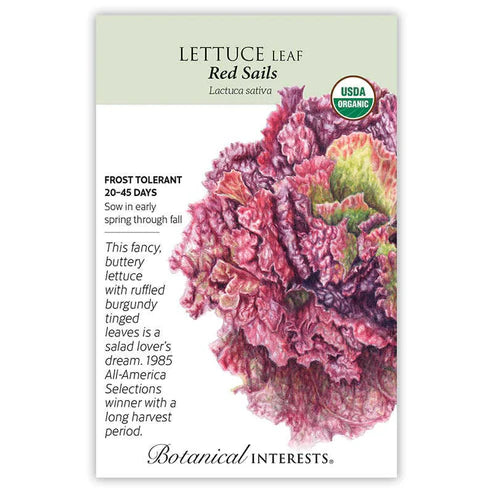 Lettuce 'Red Sails'