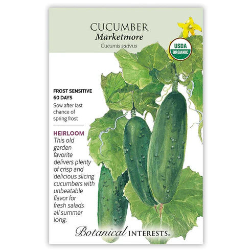 Cucumber 'Marketmore'