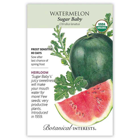 Watermelon 'Sugar Baby'