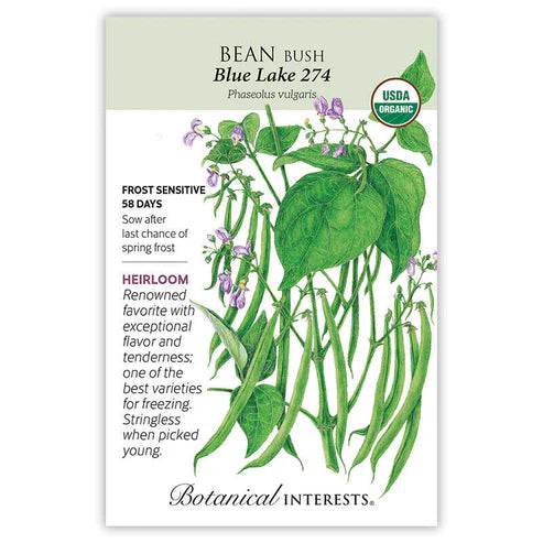 Bean Bush 'Blue Lake 274'