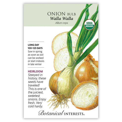 Onion 'WallaWalla'