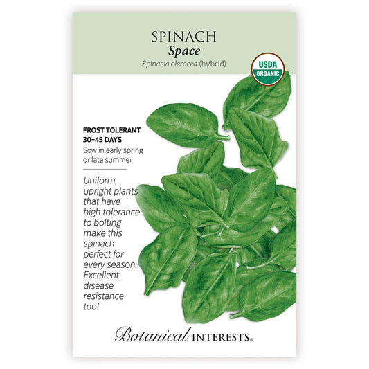 Spinach 'Space'