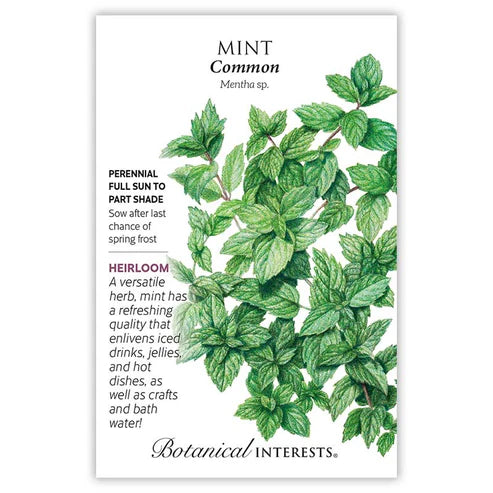 Mint